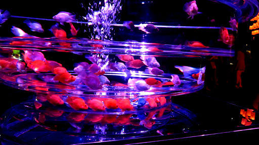 幻想的に金魚が泳ぐアートアクアリウム13 日本橋 F Ko Jiの 一秒後は未来